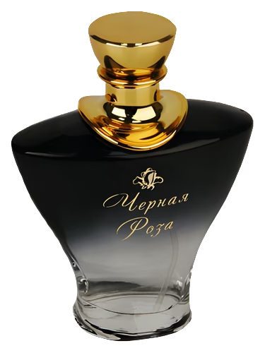 Black Rose (Черная Роза)