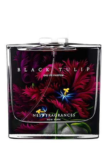 Black Tulip