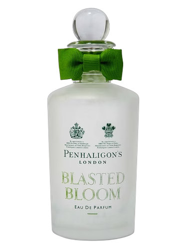 Blasted Bloom
