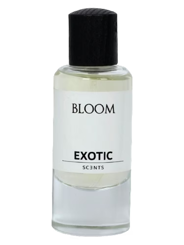 Bloom