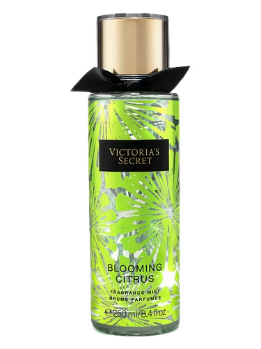 Blooming Citrus