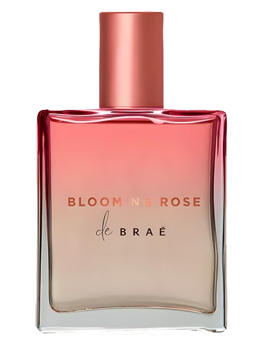 Blooming Rose