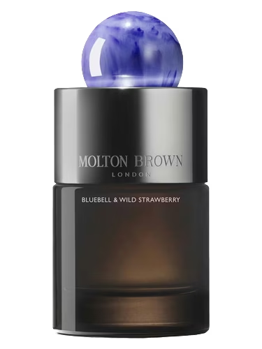 Bluebell & Wild Strawberry