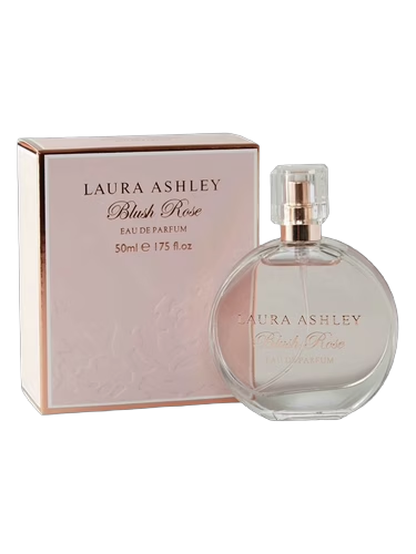Blush Rose