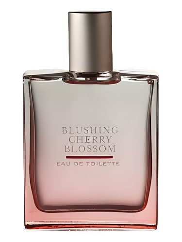 Blushing Cherry Blossom