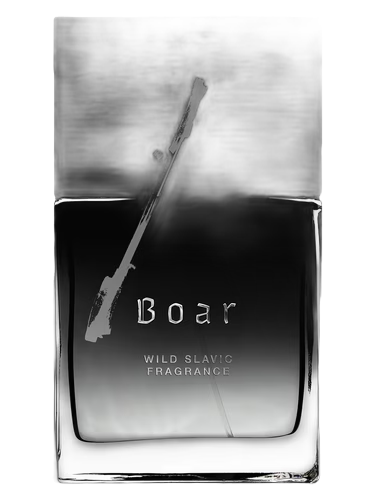 Boar