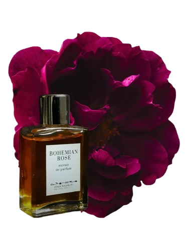 Bohemian Rose