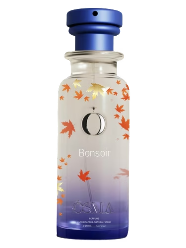 Bonsoir