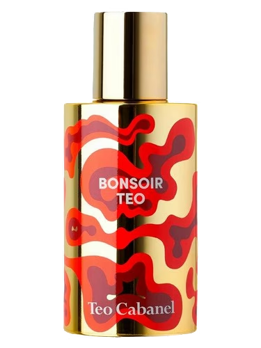 Bonsoir Teo