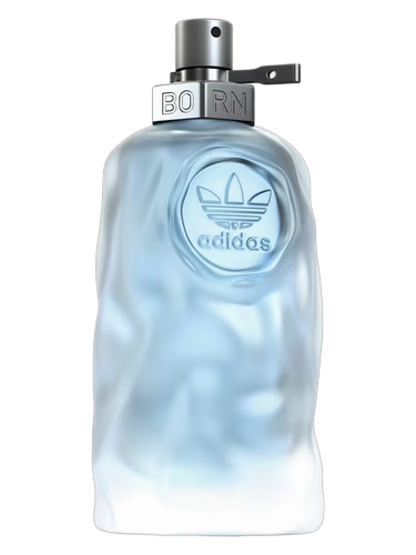 Born Original Today Pour Lui