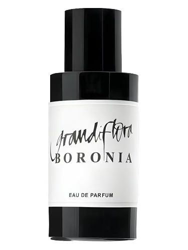 Boronia
