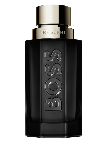 Boss The Scent For Him Magnetic
