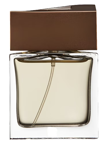 Brioni Man Eau de Parfum