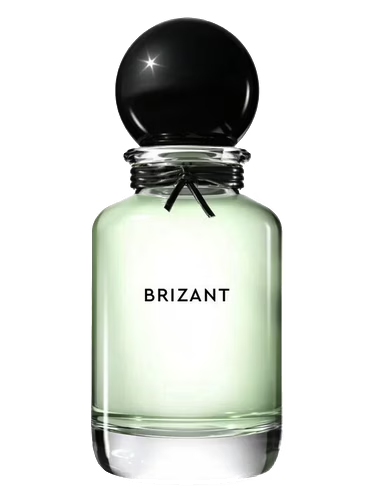 Brizant
