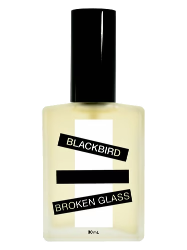 Broken Glass