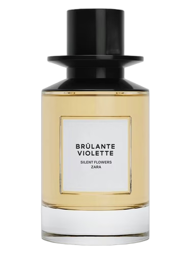 Brulante Violette by Zara