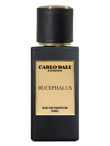 Bucephalus