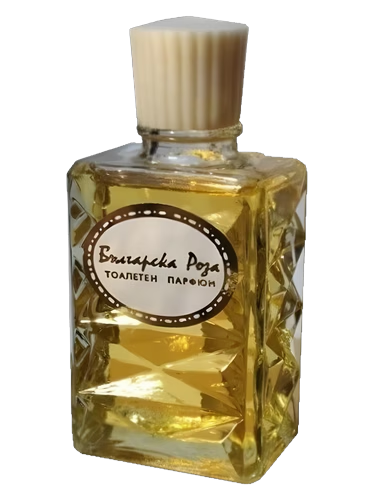 Болгарская роза (Bulgarian Rose)
