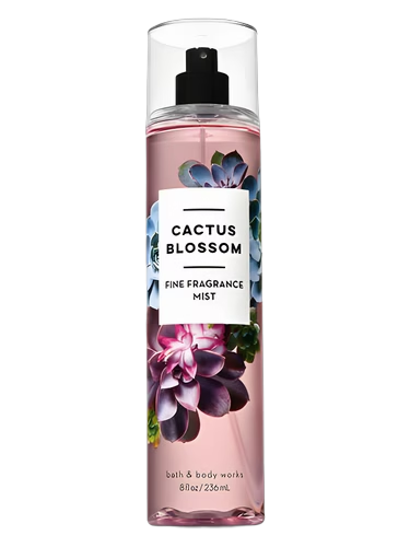 Cactus Blossom