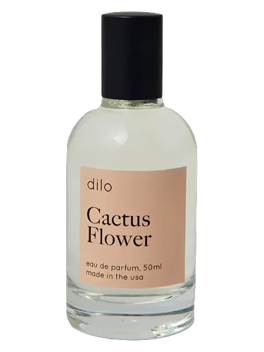 Cactus Flower