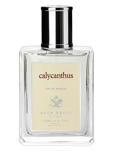 Calycanthus