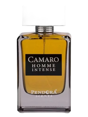 Camaro Homme Intense
