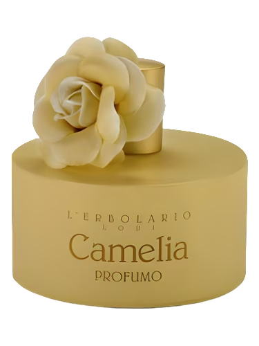 Camelia