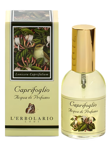 Caprifoglio
