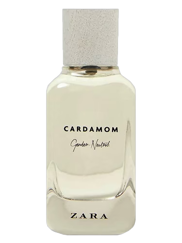Cardamom - Gender Neutral