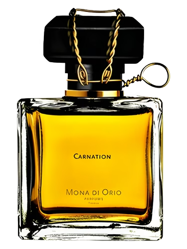 Carnation