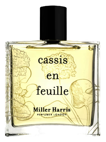 Cassis en Feuille