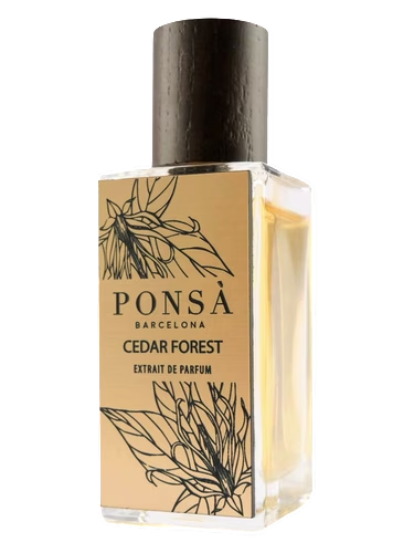 Cedar Forest