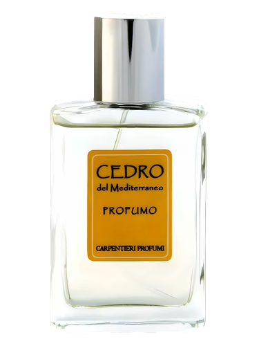 Cedro del Mediterraneo