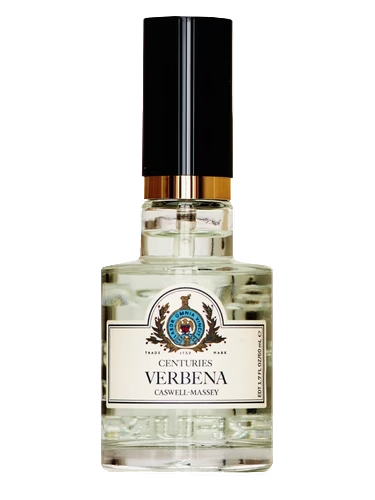 Centuries Verbena
