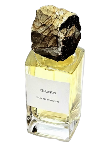 Cerasus
