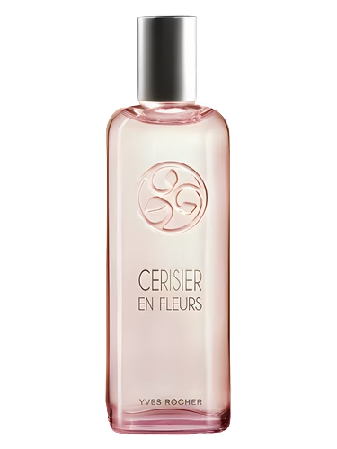 Cerisier en Fleurs