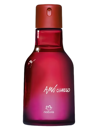 Chamego