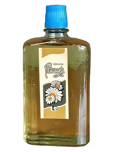 Chamomile - Ромашка