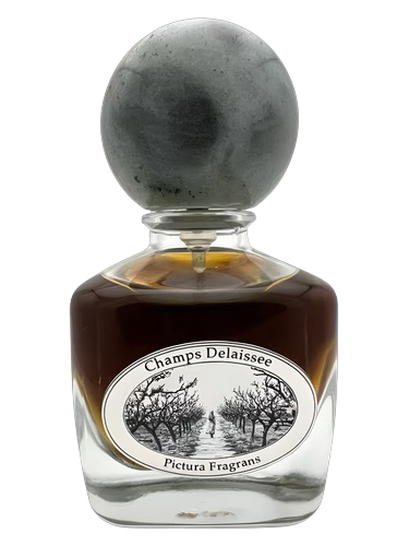 Champs Délaissée