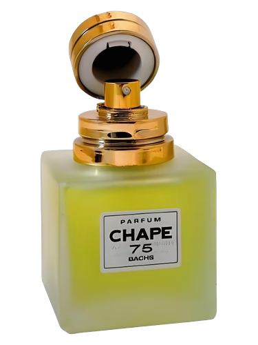 Chape 75