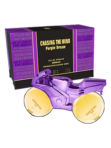Chasing the Wind Purple Dream Night