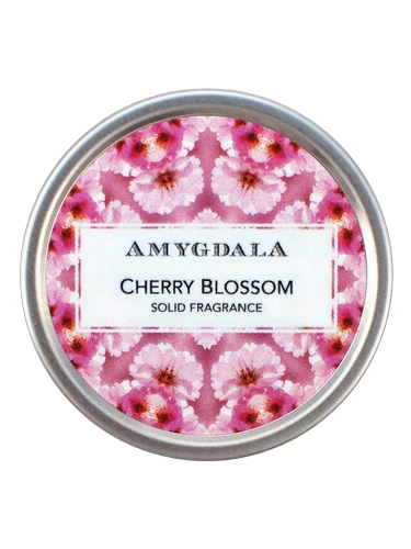 Cherry Blossom