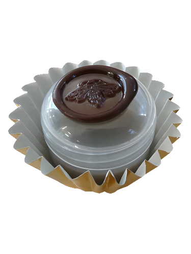 Chocolate: Figure 5: Bois de Chocolat