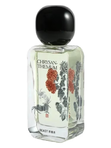 Chrysanthemum 采菊东篱
