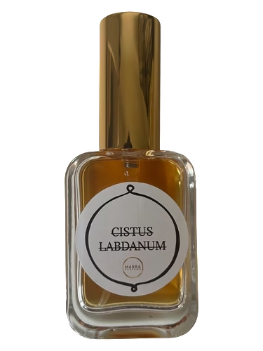 Cistus Labdanum