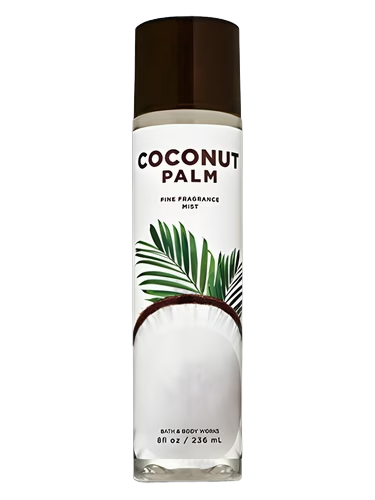 Coconut Palm