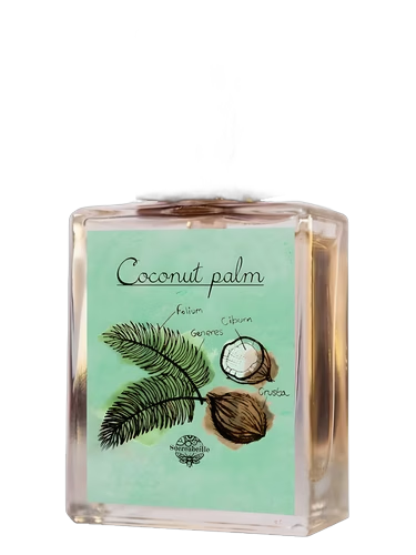 Coconut Palm
