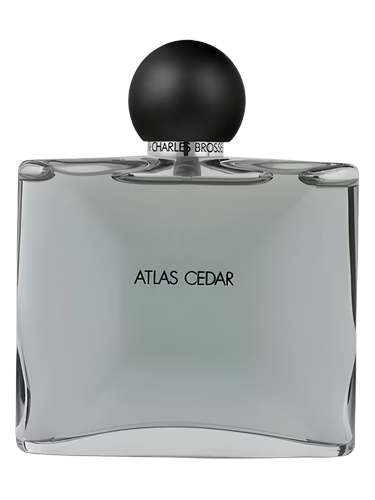 Collection Homme/Atlas Cedar