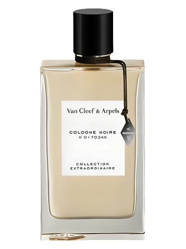 Cologne Noire