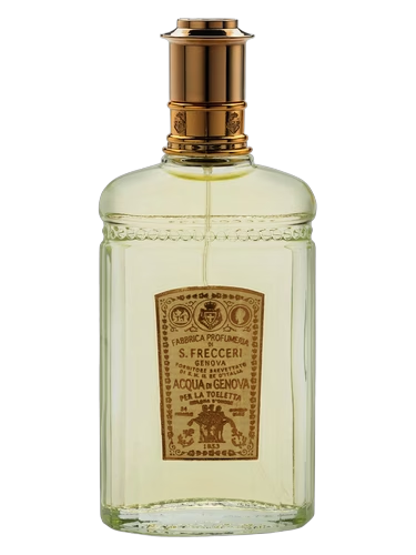 Colonia Classica
